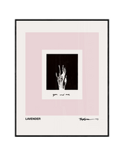Lavender: Limited Edition Print