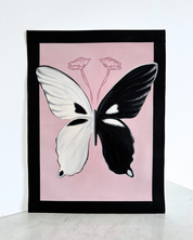 Butterfly Study 1, 2025.