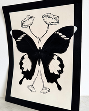 Butterfly Study 2, 2025.