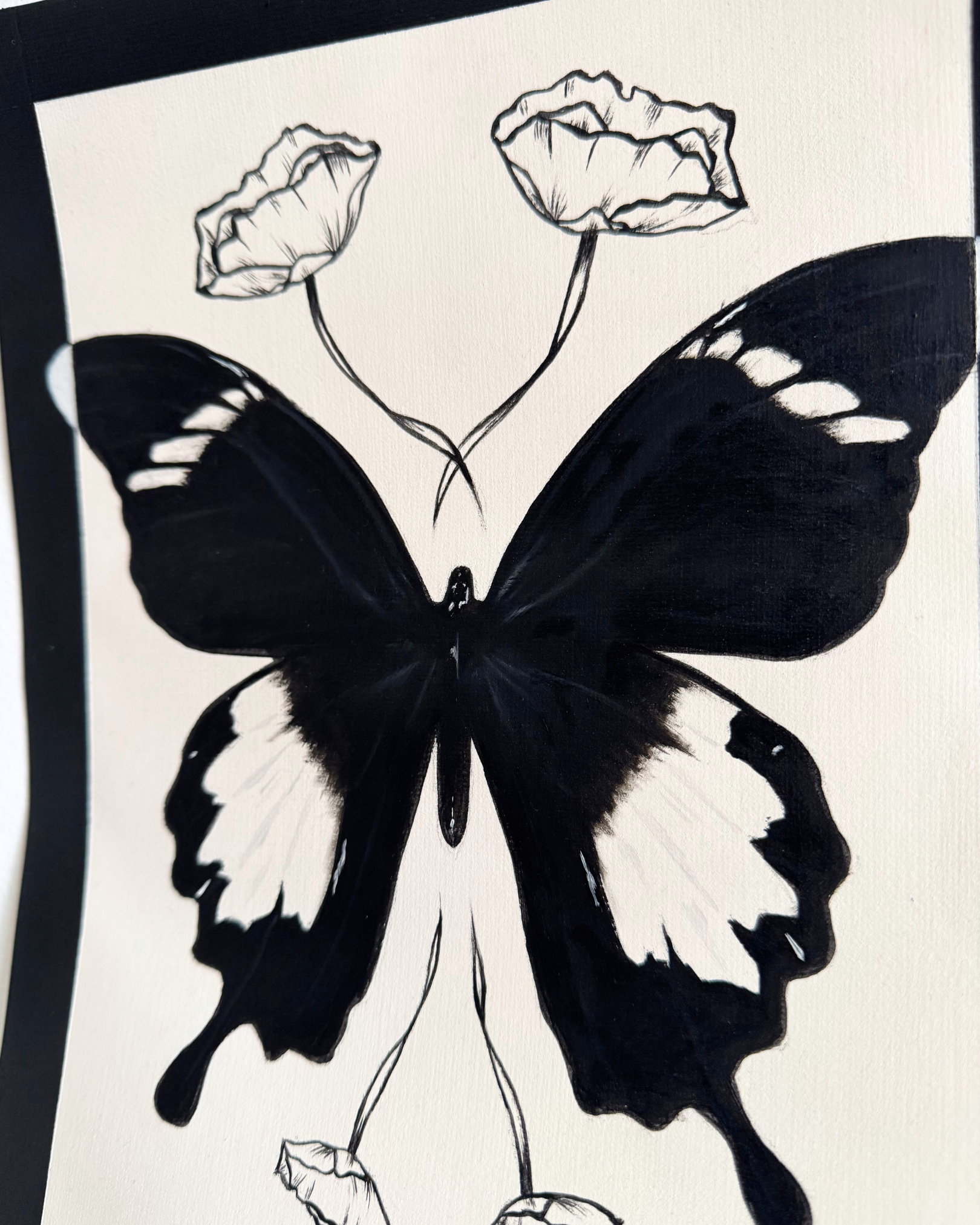Butterfly Study 2, 2025.