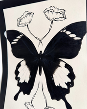 Butterfly Study 2, 2025.