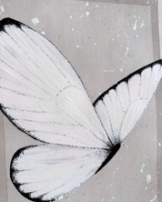 Butterfly Baby Study, 2025.