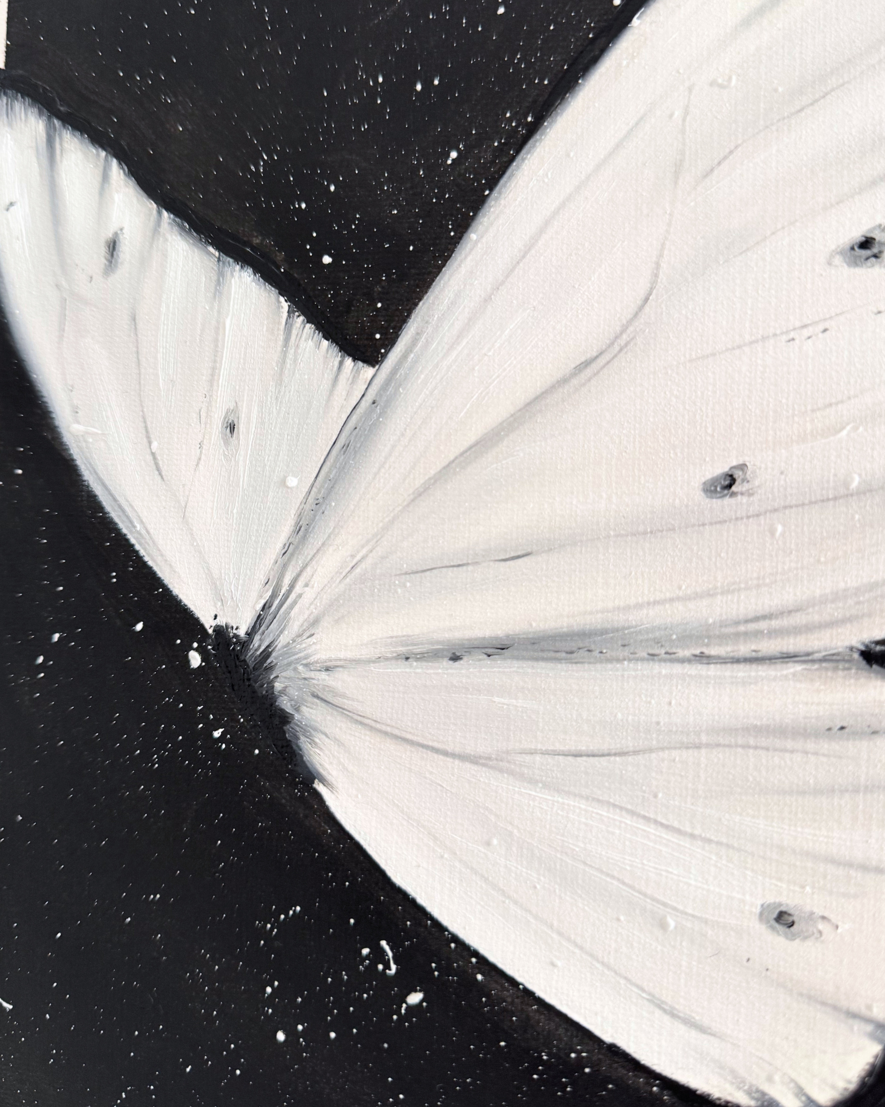 Butterfly Study 4, 2025.