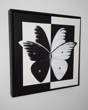 United in Love, 2025.