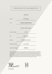In Every Lifetime (White) — Certificate of Authenticity