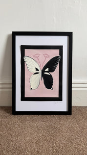 Butterfly Study 1: Tier 1 Archive