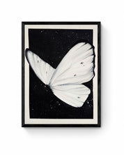 Butterfly Study 4, 2025.