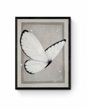 Butterfly Baby Study, 2025.