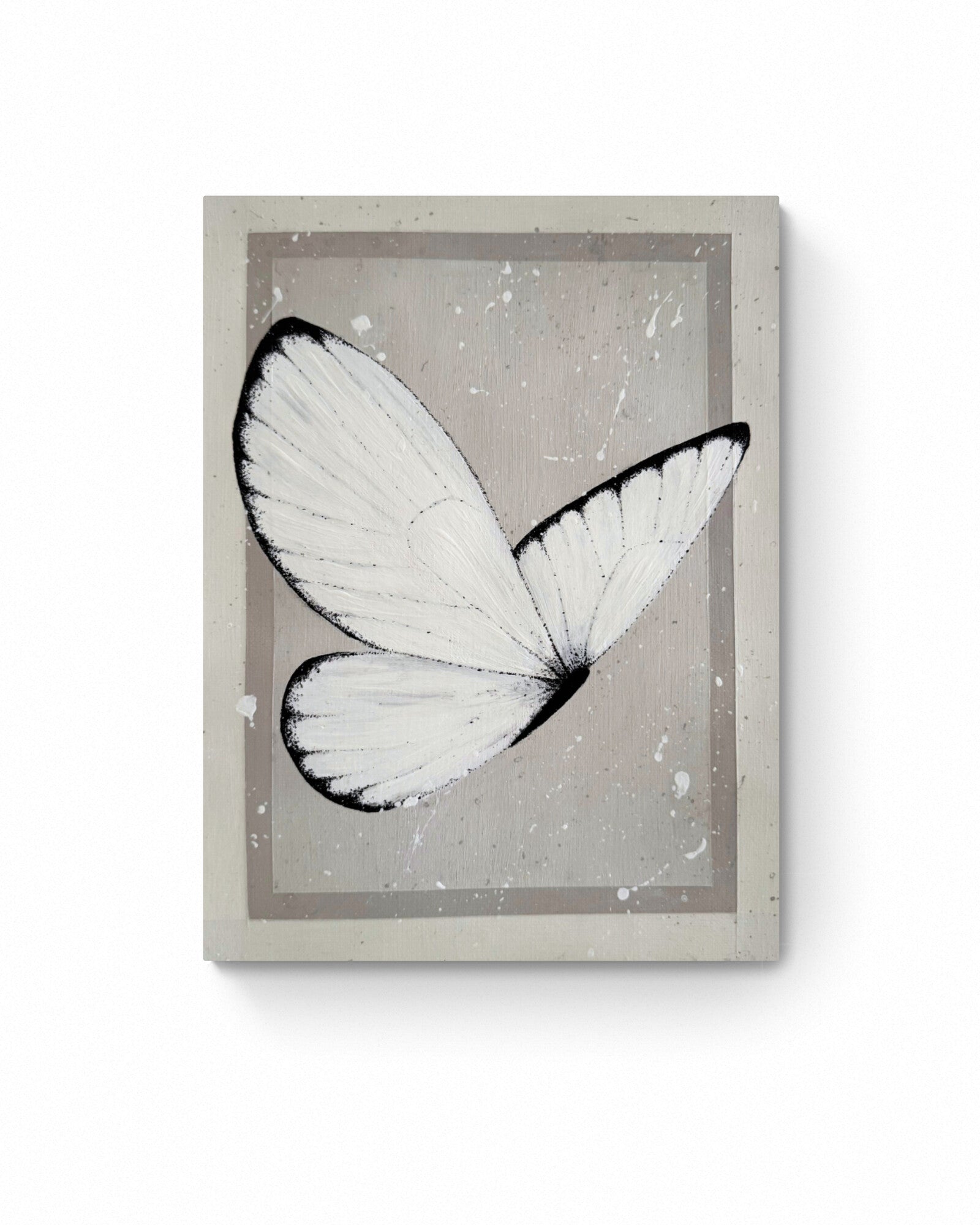 Butterfly Baby Study, 2025.