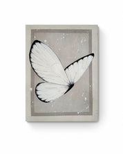 Butterfly Baby Study, 2025.