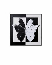 United in Love, 2025.